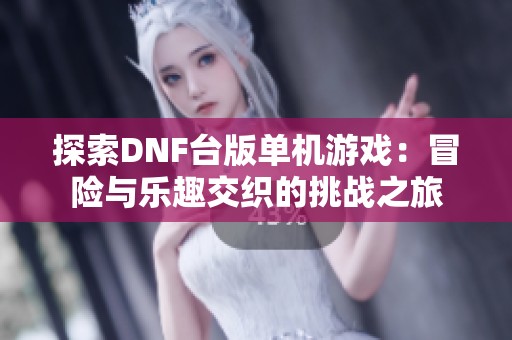 探索DNF台版单机游戏：冒险与乐趣交织的挑战之旅