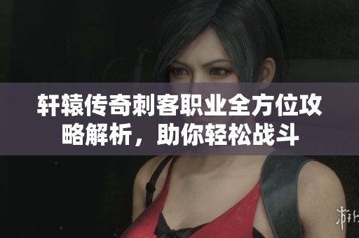 轩辕传奇刺客职业全方位攻略解析，助你轻松战斗