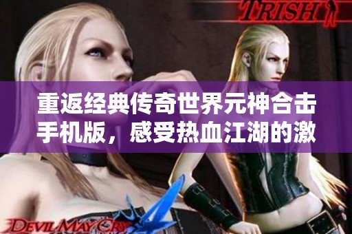 重返经典传奇世界元神合击手机版，感受热血江湖的激情与怀旧魅力