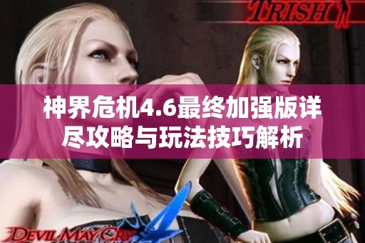 神界危机4.6最终加强版详尽攻略与玩法技巧解析
