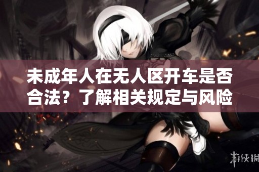 未成年人在无人区开车是否合法？了解相关规定与风险