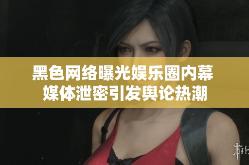 黑色网络曝光娱乐圈内幕 媒体泄密引发舆论热潮