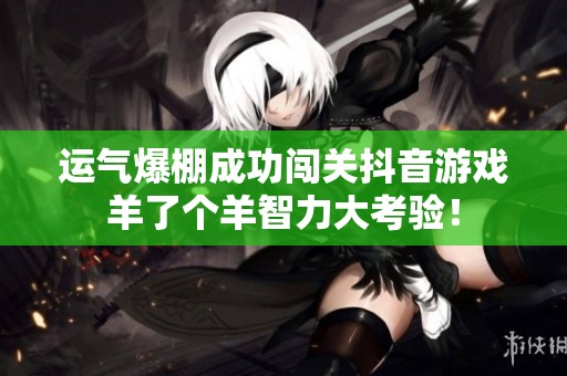 运气爆棚成功闯关抖音游戏羊了个羊智力大考验！