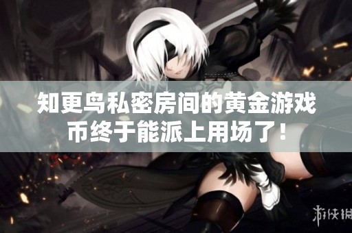 知更鸟私密房间的黄金游戏币终于能派上用场了！