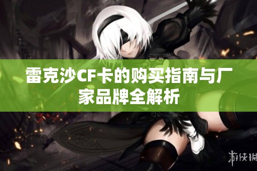 雷克沙CF卡的购买指南与厂家品牌全解析