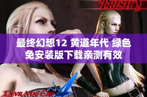最终幻想12 黄道年代 绿色免安装版下载亲测有效