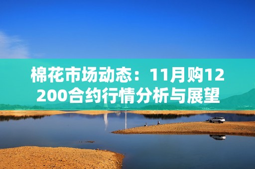 棉花市场动态：11月购12200合约行情分析与展望