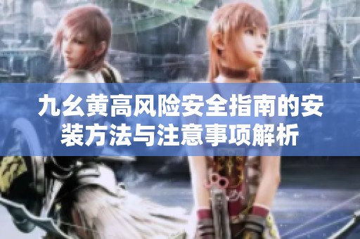 九幺黄高风险安全指南的安装方法与注意事项解析