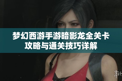梦幻西游手游暗影龙全关卡攻略与通关技巧详解
