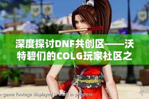 深度探讨DNF共创区——沃特碧们的COLG玩家社区之旅