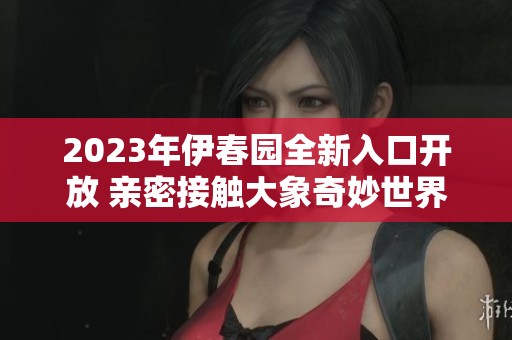 2023年伊春园全新入口开放 亲密接触大象奇妙世界