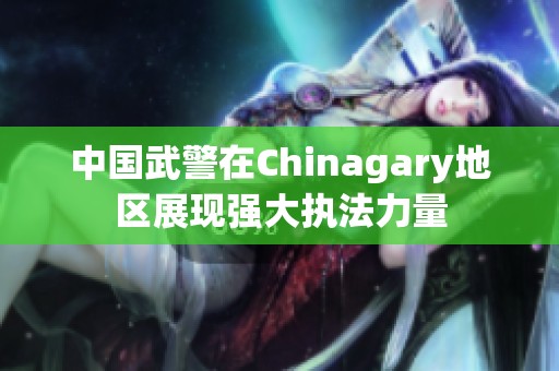 中国武警在Chinagary地区展现强大执法力量