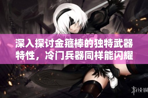 深入探讨金箍棒的独特武器特性，冷门兵器同样能闪耀舞台