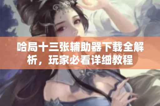 哈局十三张辅助器下载全解析，玩家必看详细教程