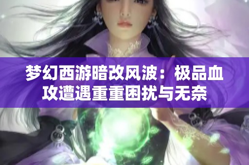 梦幻西游暗改风波：极品血攻遭遇重重困扰与无奈