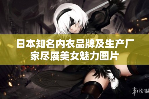 日本知名内衣品牌及生产厂家尽展美女魅力图片