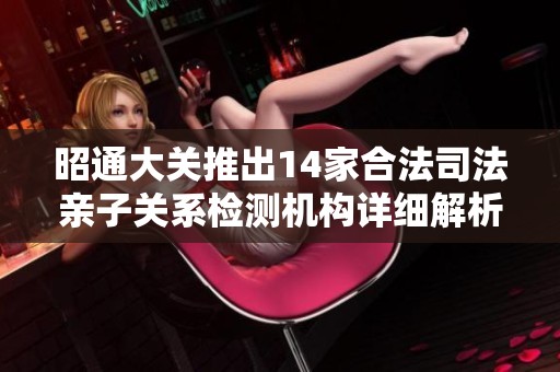 昭通大关推出14家合法司法亲子关系检测机构详细解析