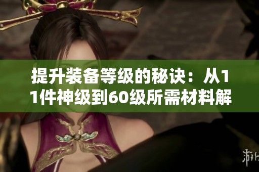 提升装备等级的秘诀：从11件神级到60级所需材料解析