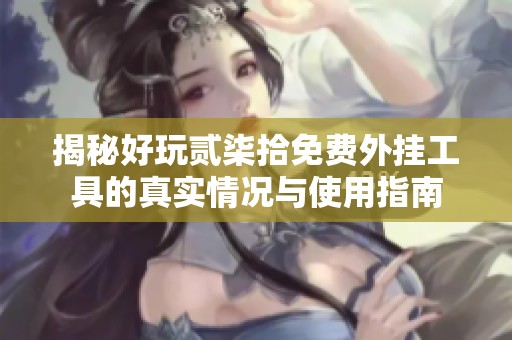 揭秘好玩贰柒拾免费外挂工具的真实情况与使用指南