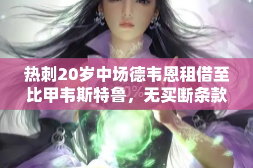 热刺20岁中场德韦恩租借至比甲韦斯特鲁，无买断条款限制