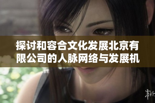 探讨和容合文化发展北京有限公司的人脉网络与发展机会