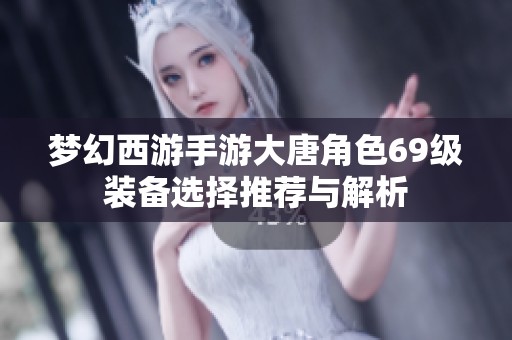 梦幻西游手游大唐角色69级装备选择推荐与解析