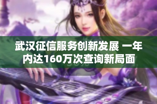 武汉征信服务创新发展 一年内达160万次查询新局面