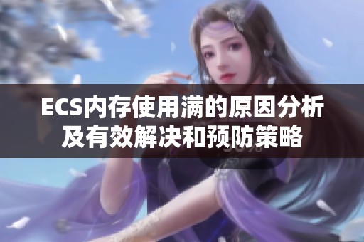 ECS内存使用满的原因分析及有效解决和预防策略