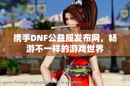 携手DNF公益服发布网，畅游不一样的游戏世界