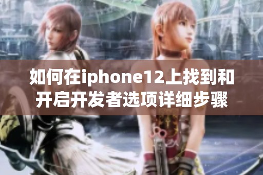 如何在iphone12上找到和开启开发者选项详细步骤