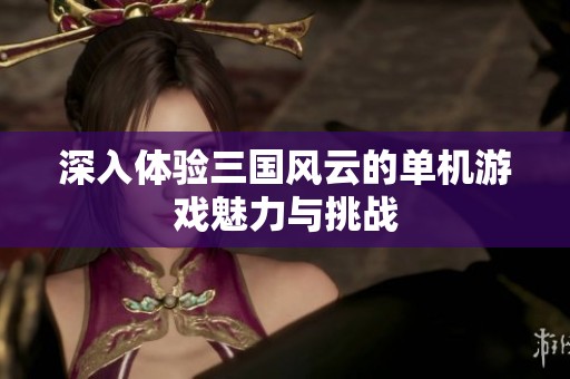 深入体验三国风云的单机游戏魅力与挑战