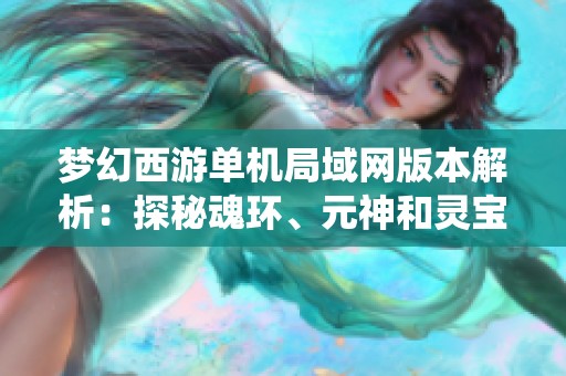 梦幻西游单机局域网版本解析：探秘魂环、元神和灵宝系统的魅力
