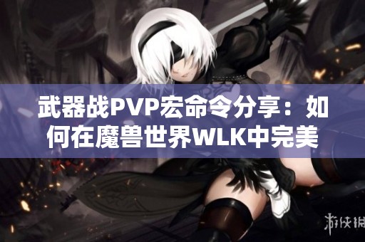 武器战PVP宏命令分享：如何在魔兽世界WLK中完美击杀敌人