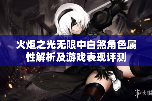 火炬之光无限中白煞角色属性解析及游戏表现评测