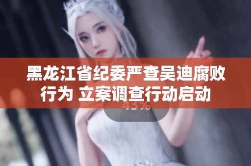 黑龙江省纪委严查吴迪腐败行为 立案调查行动启动