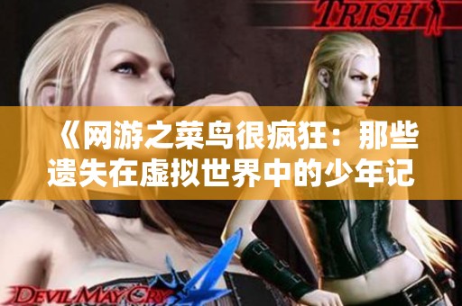 《网游之菜鸟很疯狂：那些遗失在虚拟世界中的少年记忆》