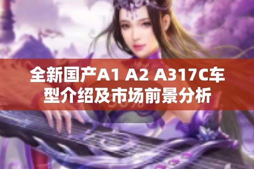 全新国产A1 A2 A317C车型介绍及市场前景分析