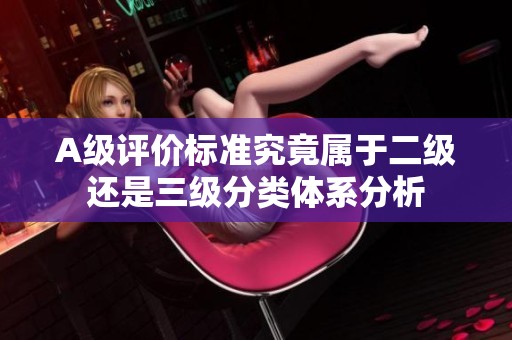 A级评价标准究竟属于二级还是三级分类体系分析