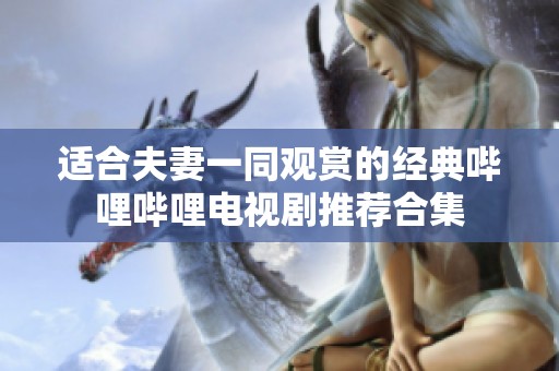 适合夫妻一同观赏的经典哔哩哔哩电视剧推荐合集