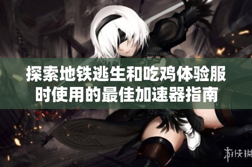 探索地铁逃生和吃鸡体验服时使用的最佳加速器指南
