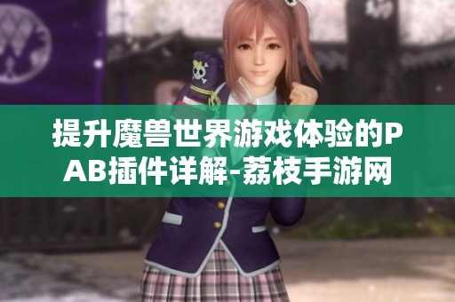 提升魔兽世界游戏体验的PAB插件详解-荔枝手游网