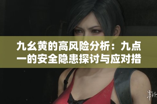 九幺黄的高风险分析：九点一的安全隐患探讨与应对措施