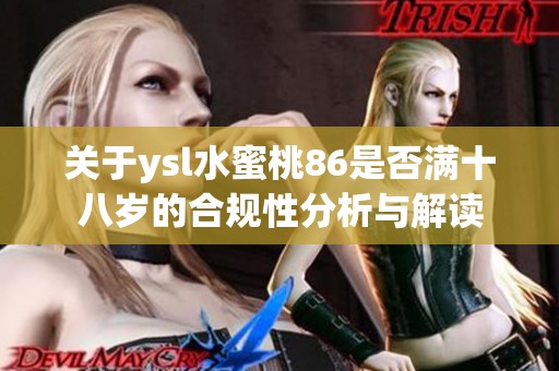 关于ysl水蜜桃86是否满十八岁的合规性分析与解读
