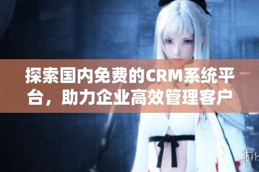 探索国内免费的CRM系统平台，助力企业高效管理客户关系