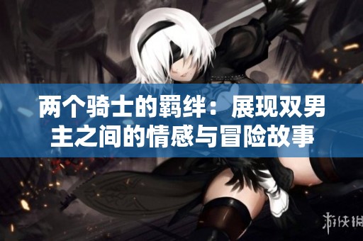 两个骑士的羁绊：展现双男主之间的情感与冒险故事
