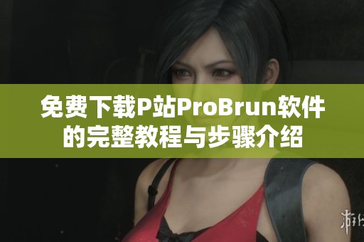 免费下载P站ProBrun软件的完整教程与步骤介绍