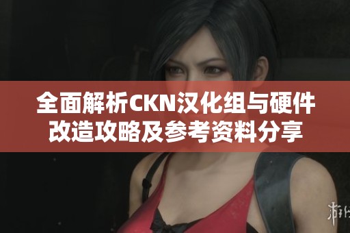 全面解析CKN汉化组与硬件改造攻略及参考资料分享