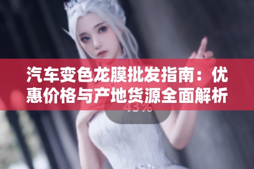 汽车变色龙膜批发指南：优惠价格与产地货源全面解析