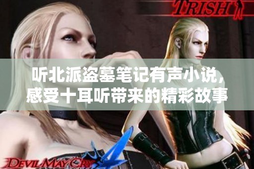 听北派盗墓笔记有声小说，感受十耳听带来的精彩故事