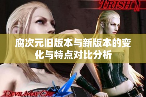腐次元旧版本与新版本的变化与特点对比分析